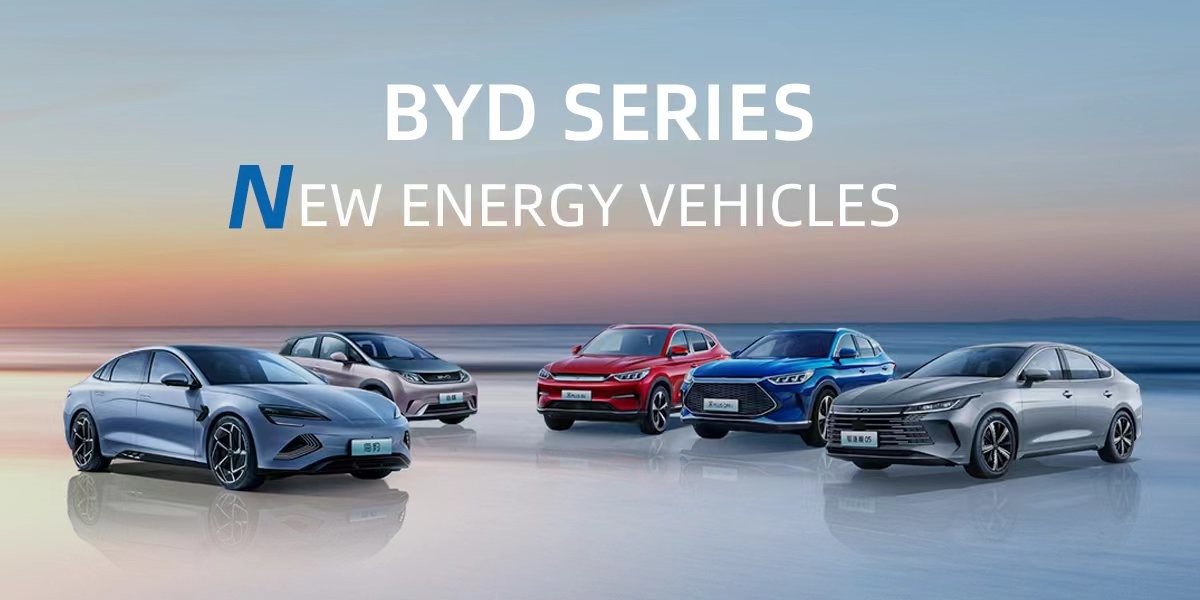 kwaliteit New Energy-Auto fabriek