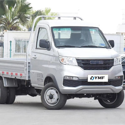 Shineray Cargo Van Mini Cargo Truck Light Truck Gasoline met voor 4 Achter 2 Radar